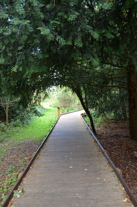 Kew Gardens, Natural Area photo