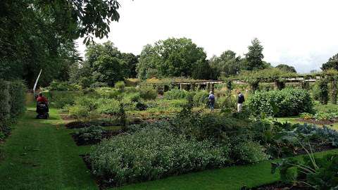 Kew Kitchen Garden photo